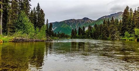 Beautiful Alaska Fishing Lodge Scenery Rainbow King Lodge