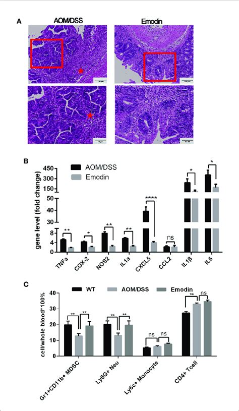 Emodin Suppresses The Acute Inflammatory Response A Representative