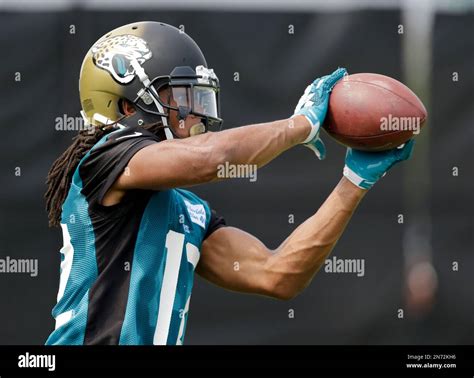 Jacksonville Jaguars wide receiver Mike Brown catches a pass during NFL ...