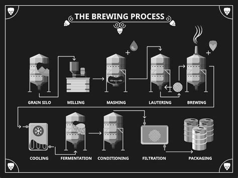 Proceso de elaboración de cerveza infografía de producción de cerveza