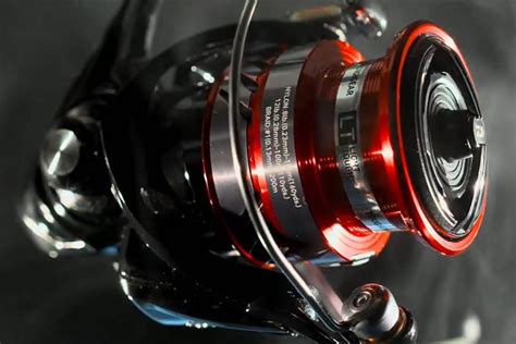 Test Erfahrung Daiwa Ninja Lt Tacklehero