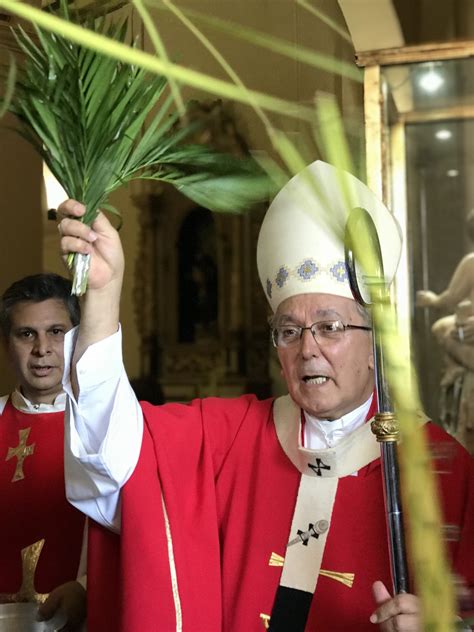 HomilÍa Del Domingo De Ramos 2019 Arzobispado De La Santísima