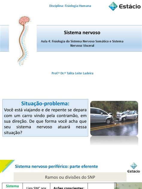 Aula 4 Fisiologia Do Sistema Nervoso Som Tico E Sistema Nervoso