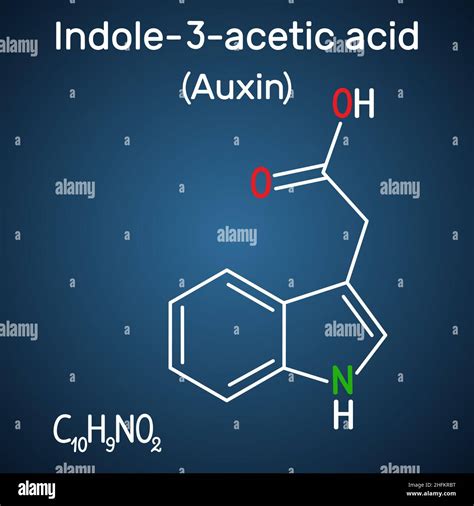 Auxin Indole 3 Acetic Acid IAA Structural Chemical Formula On The