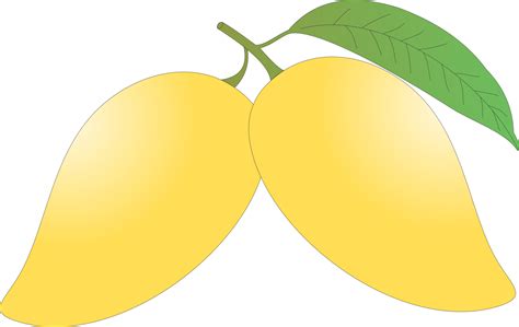 Mango Fruit D Thai Fruit Png Png