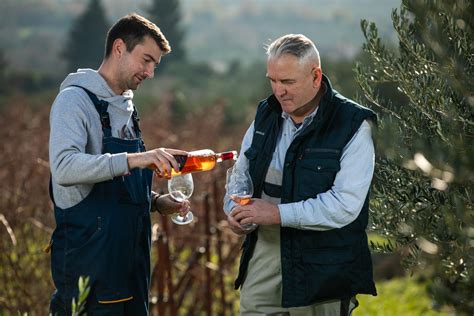 Slobodna Dalmacija Dva Brata Otkrivaju Ta Je Klju No Za Dobro Vino