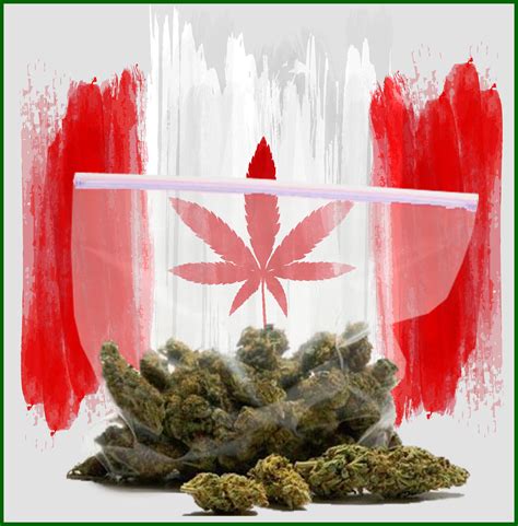 Canada's Regulated Marijuana Industry is Booming, But What About the Black Market Sales Numbers?