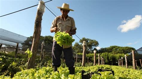 Buenas Prácticas Agrícolas Para La Producción De Frutas Y Hortalizas