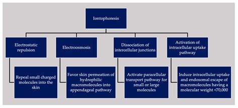Pharmaceutics Free Full Text Intradermal Delivery Of Naked Mrna Vaccines Via Iontophoresis