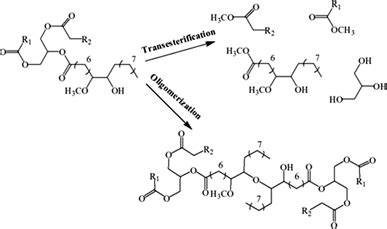 Side reactions during the polyols synthesis | Download Scientific Diagram