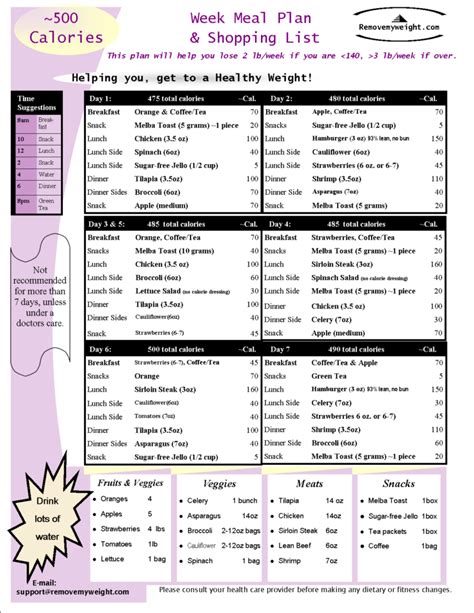 Printable 500 Calorie Diet Plan Pdf - PrintableDietPlan.com