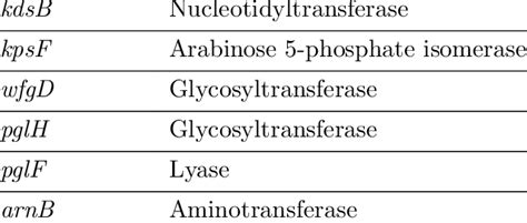 Genes associated with O-antigen biosynthesis in Providencia species ...