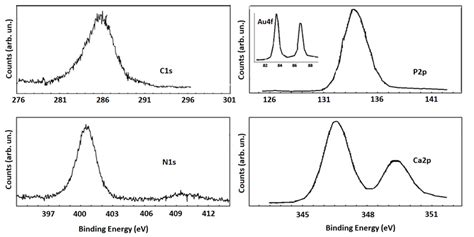 High Resolution Xps Spectra Of C1s P2p N1s And Ca2p Lineshapes