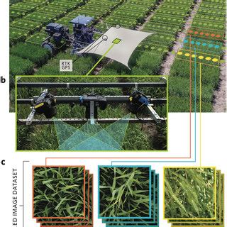 Phenotyping platform and "breeder-trained" image datasets in this ...