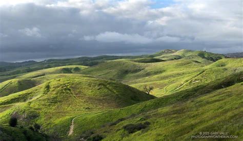 The Green Hills Of Ahmanson Ranch