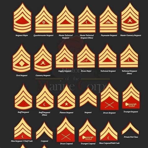 History of the Marine Corps on Instagram: “Marine Corps rank insignia ...