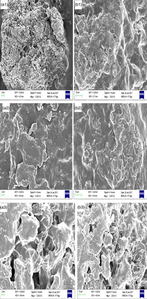 Scanning Electron Micrographs Of Instant Rice Samples A1 5 K Cthad