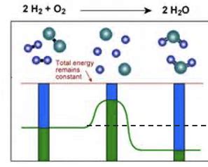 Chap Energy Enzymes And Metabolism Flashcards Quizlet