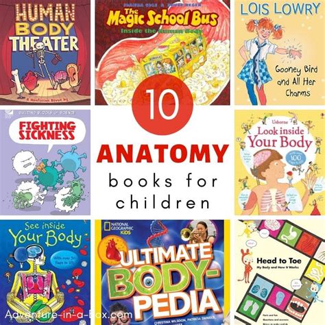 Anatomy Books for Kids