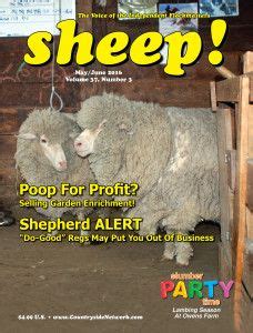 Lambing Problems Can Arise From Abnormal Birth Positions Artofit