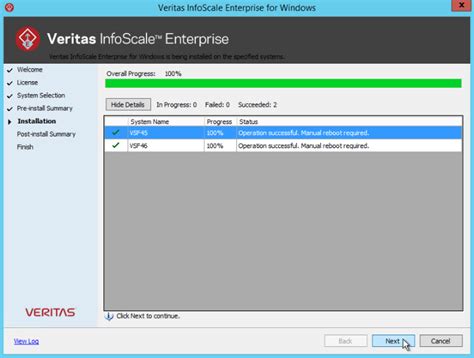 Veritas Infoscale Windows Server R