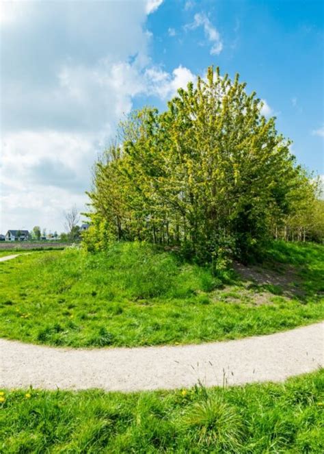 Natuurontwikkeling De Groene Grens Veenendaal Van De Haar Groep