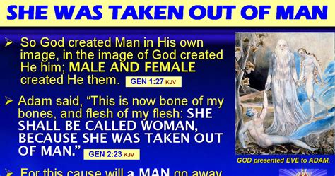 The BIBLE EXPLAINER REVELATOR Q88 HOW ARE ADAM AND EVE RELATED CAN