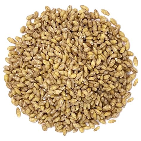 organic hulled barley  pounds  gmo kosher raw bulk grain