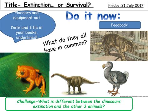 Aqa Trilogy Biology Unit 7 Lesson 16 Extinction Or Survival Teaching