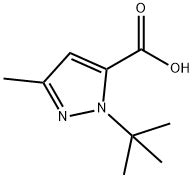 1 叔丁基 3 甲基 1H 吡唑 5 羧酸 CAS 175277 09 5