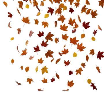 Flying Leaves Autumn Leave Flying Autumn PNG Transparent Clipart