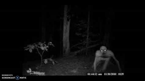 Its Still In The Woods Creepypasta YouTube