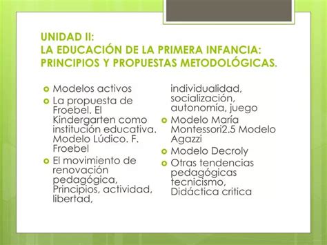 PPT UNIDAD II LA EDUCACIÓN DE LA PRIMERA INFANCIA PRINCIPIOS Y