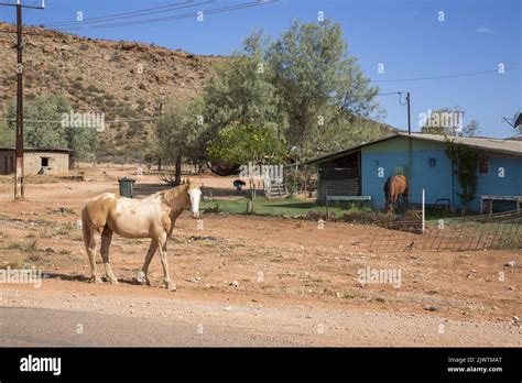 Houses And Street Scenes With Horses In The Santa Teresa Aboriginal