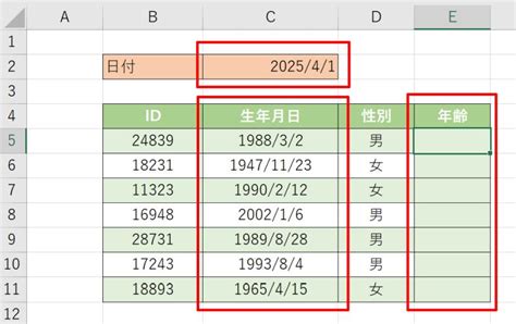 Excelで年齢を自動計算する方法｜datedif関数