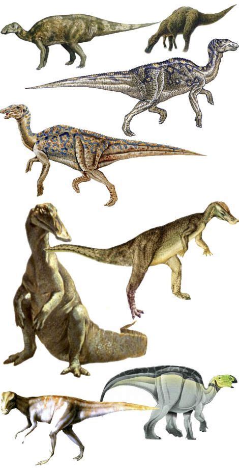 The Duck Billed Dinosaur Hadrosaurus Dinosaurs Pictures And Facts