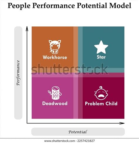 People Performance Potential Model Icons Matrix Stock Vector Royalty