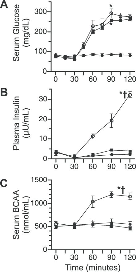 Circulating Glucose Insulin And Branched Chain Amino Acids Bcaa