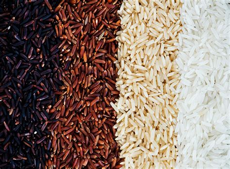 The world needs a new food revolution. Here's how to empower farmers to