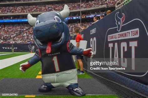 6,419 Texans Mascot Stock Photos, High-Res Pictures, and Images - Getty ...