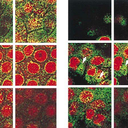 Time Course Of Cell Viability And Monolayer Integrity Monolayers Of