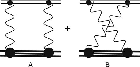 Nuclear Polarization Diagrams The Nucleus Is Represented By The Heavy