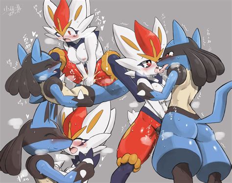 Post 4026413 Cinderace Lucario Porkyman Syourinbonzu