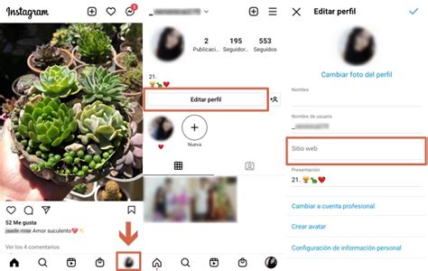 Cómo poner un enlace o link en Instagram Métodos