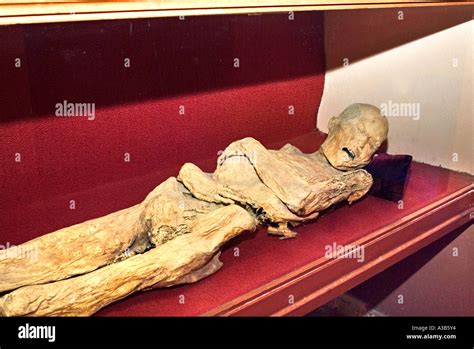 Mummy Museum known as El Museo de las Momias Guanajuato Mexico Stock Photo - Alamy