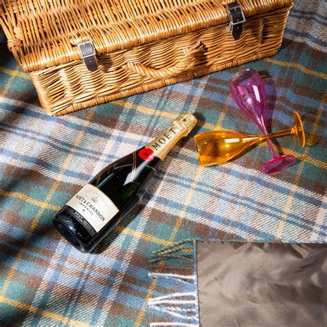 How To Create An Instagram Worthy Picnic Setup Heating And Plumbing London