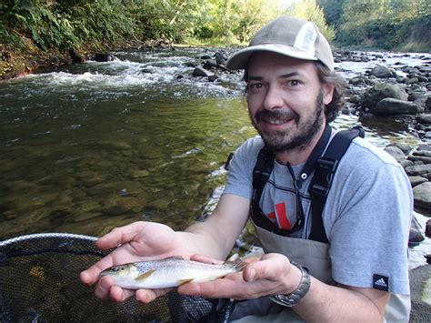 Truite Fario Peche Mouche Tarn Guide De P Che Leurres Mouche