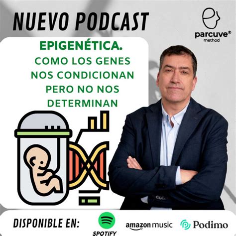 Epigen Tica Como Los Genes Nos Condicionan Pero No Nos Determinan