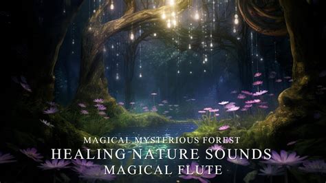 Magical Mysterious Forest 🍄 Healing Nature Sounds Magical Flute For Sleep Dreamy Relaxation