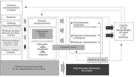 Descubrir Imagen Modelo De Determinantes Sociales De La Salud